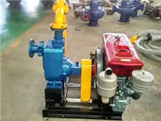 XBC-ZW小型便捷式柴油機(jī)應(yīng)急消防栓泵
